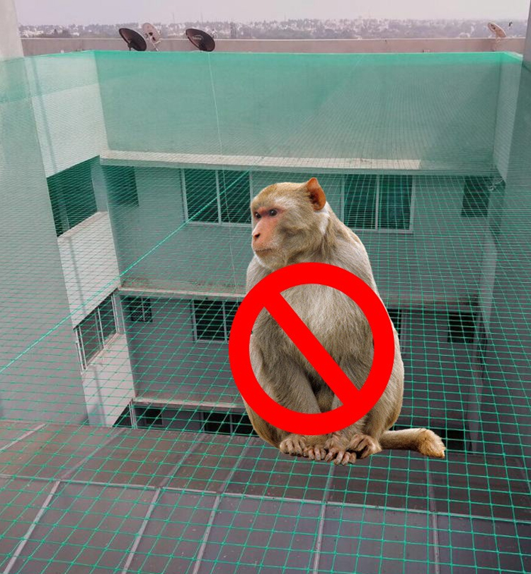 Monkey Safety Nets