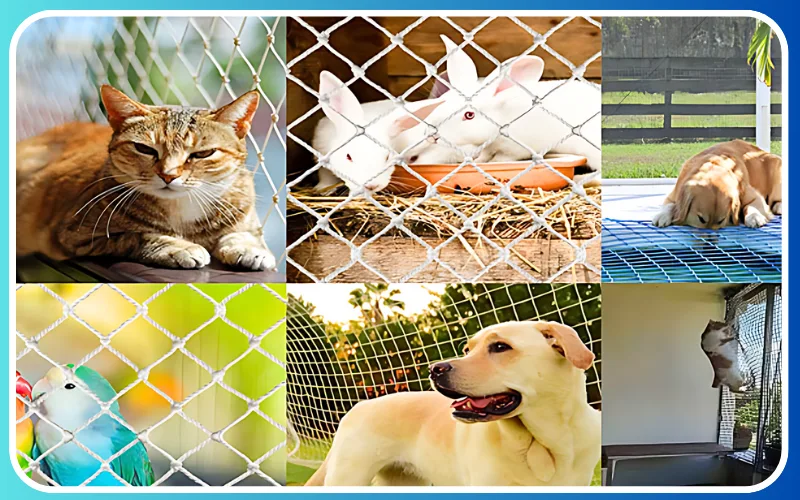 Pets Safety Nets